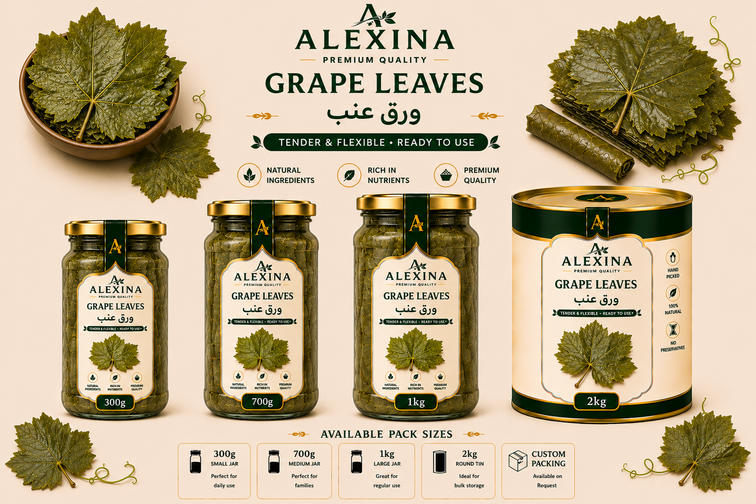 Premium Egyptian canned grape leaves by Alexina Foods for wholesale, private label, and international markets.